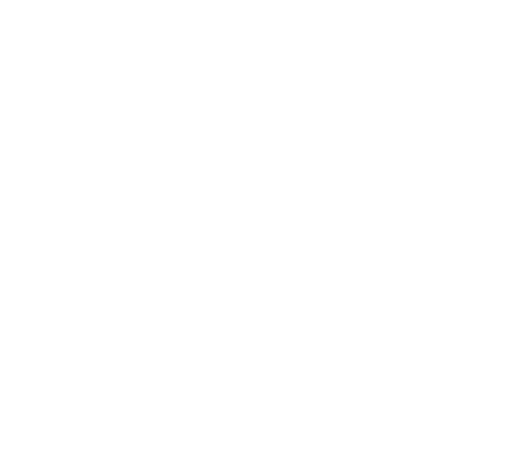 Logo Nico Sarro blanc